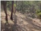 Lot 53, 38 Nicholls Street, Kings Meadows TAS 7249