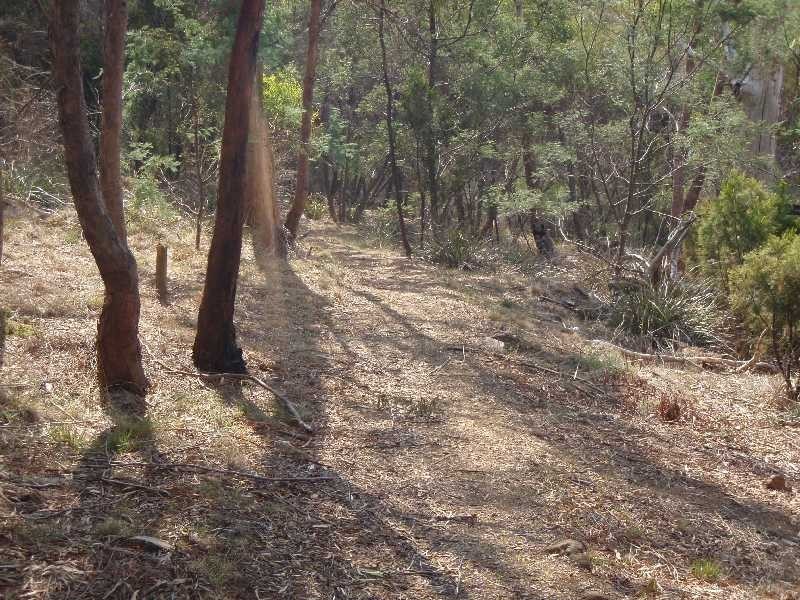 Lot 53, 38 Nicholls Street, Kings Meadows TAS 7249