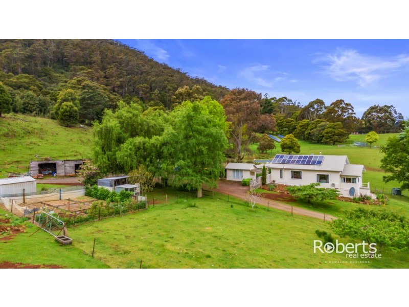 571 Brown Mountain Road, Underwood TAS 7268