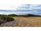 132 Bellbuoy Beach Road, Low Head TAS 7253