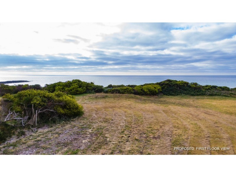 132 Bellbuoy Beach Road, Low Head TAS 7253