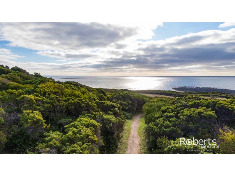 132 Bellbuoy Beach Road, Low Head TAS 7253