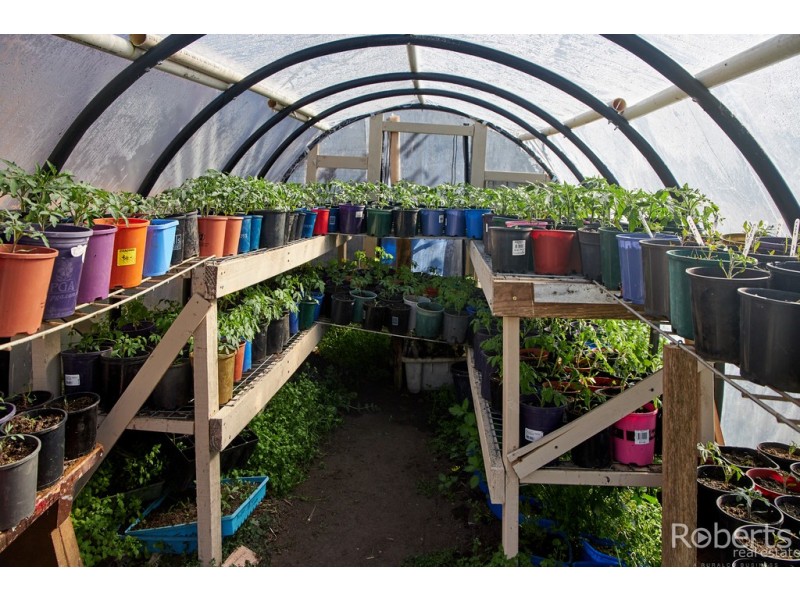 58 Emma Street, Bridport TAS 7262