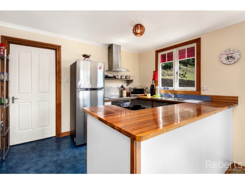 64 Main Street, Derby TAS 7264