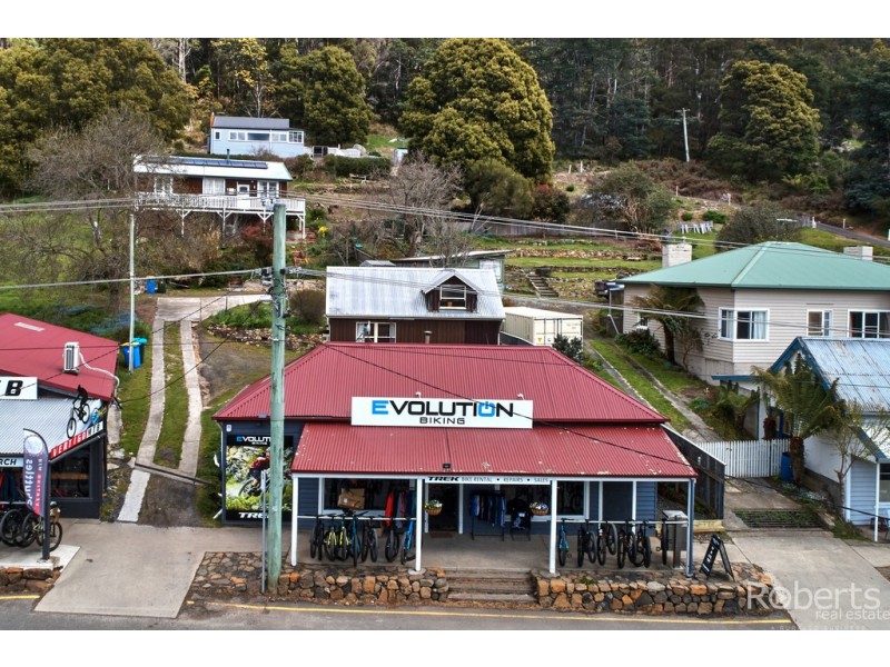 64 Main Street, Derby TAS 7264