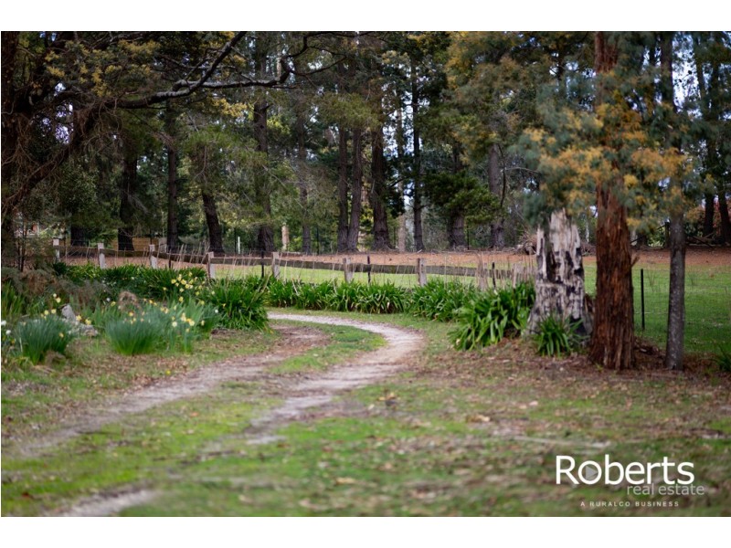 13504 Highland Lakes Road, Golden Valley TAS 7304