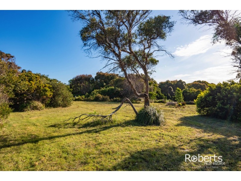 12 Davis Street, Beechford TAS 7252