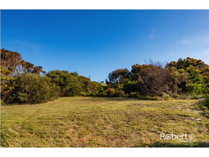 12 Davis Street, Beechford TAS 7252