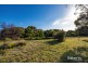 12 Davis Street, Beechford TAS 7252