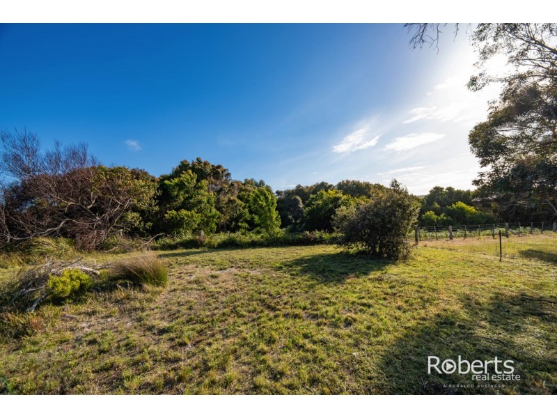 12 Davis Street, Beechford TAS 7252