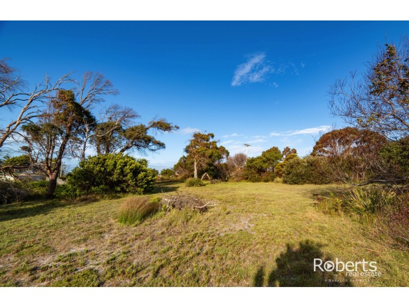 12 Davis Street, Beechford TAS 7252