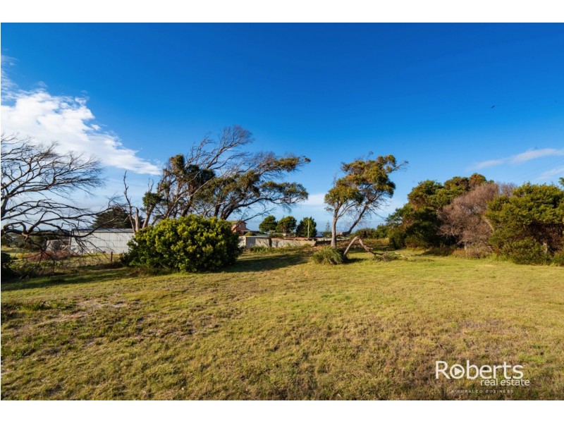 12 Davis Street, Beechford TAS 7252