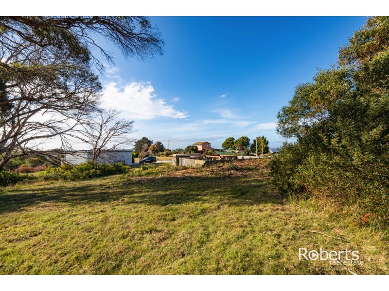 12 Davis Street, Beechford TAS 7252