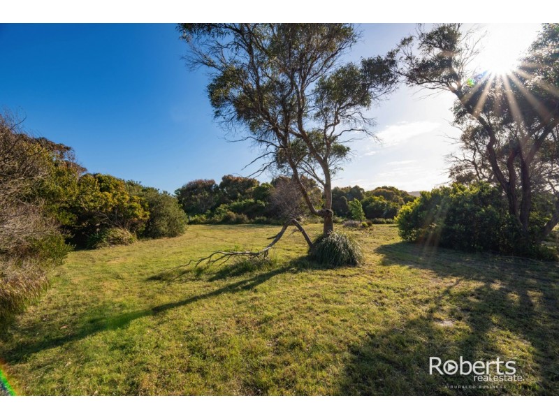 12 Davis Street, Beechford TAS 7252