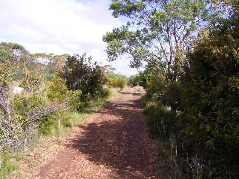 202 Lilydale Road, Rocherlea TAS 7248