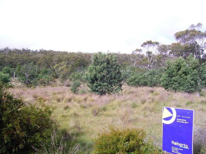 202 Lilydale Road, Rocherlea TAS 7248