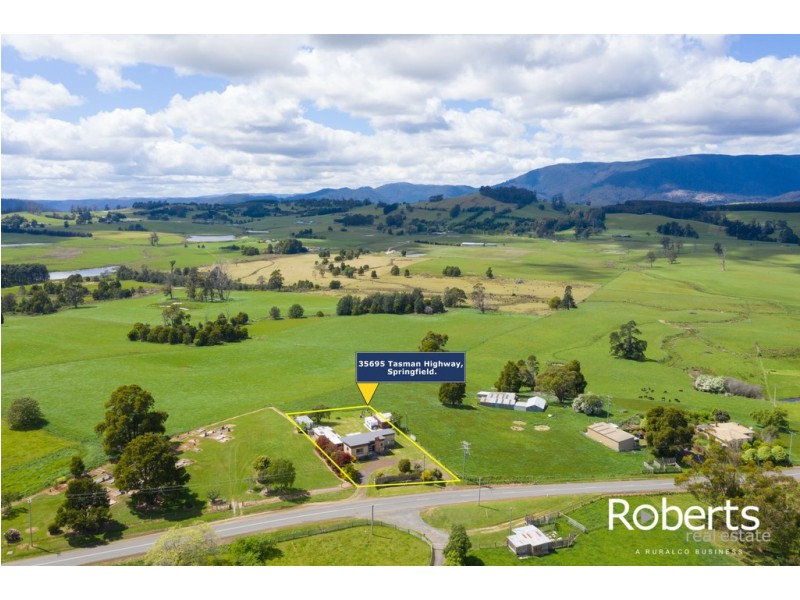 35695 Tasman Highway, Springfield TAS 7260