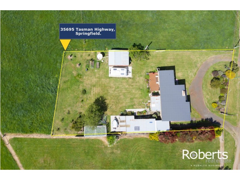 35695 Tasman Highway, Springfield TAS 7260