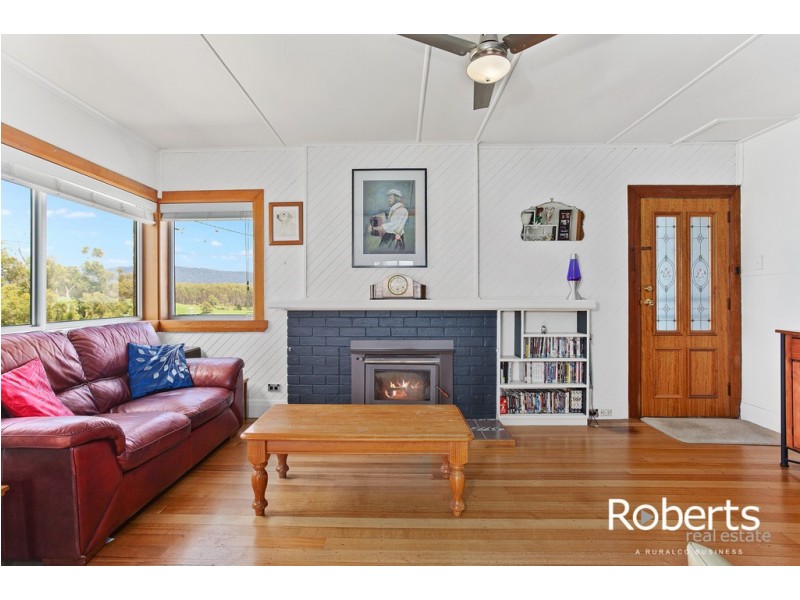 35695 Tasman Highway, Springfield TAS 7260