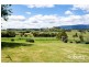 35695 Tasman Highway, Springfield TAS 7260