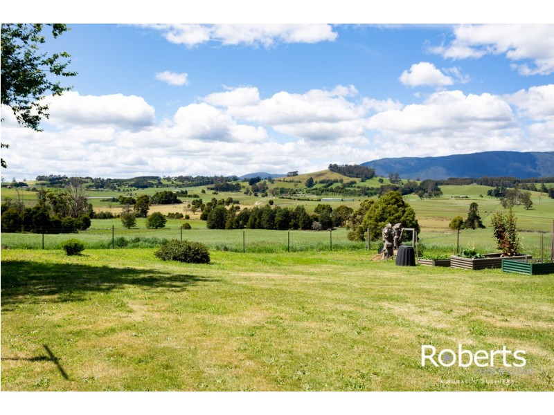 35695 Tasman Highway, Springfield TAS 7260