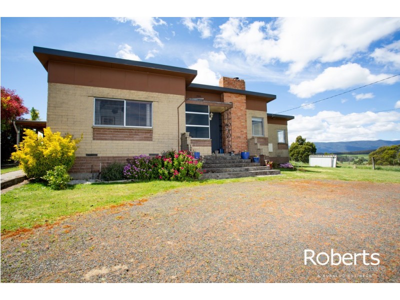 35695 Tasman Highway, Springfield TAS 7260