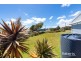 9 Higgins Street, Beechford TAS 7252