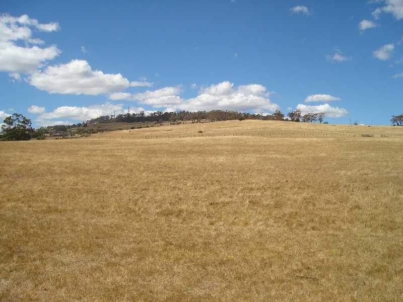 351 St Leonards Road, St Leonards TAS 7250