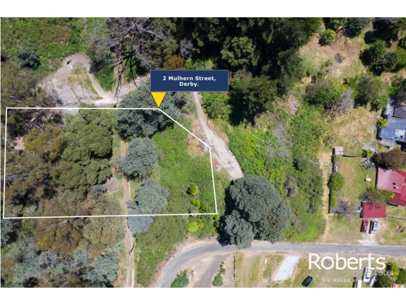 2 Mulhern Street, Derby TAS 7264