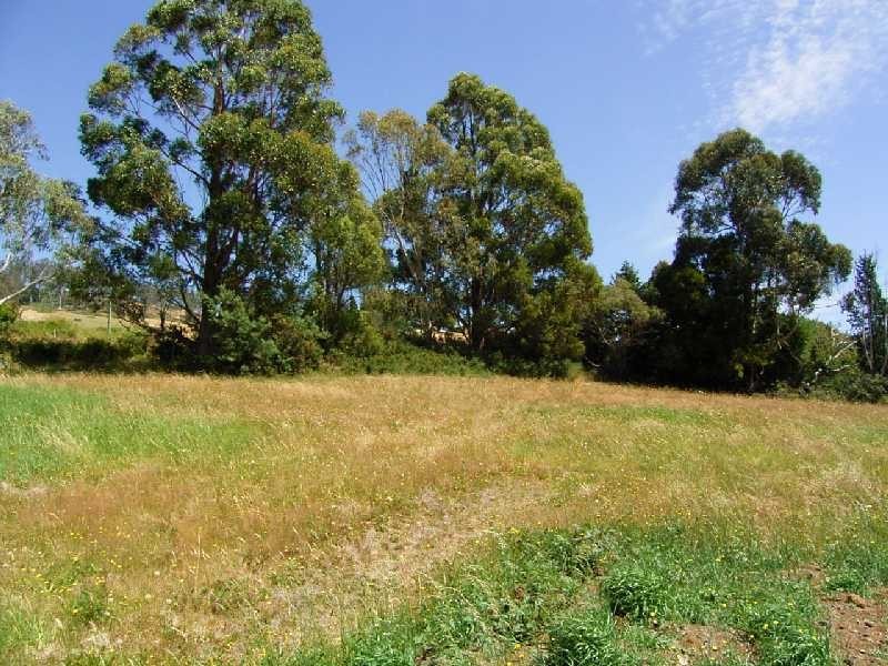 7 Rosevears Drive, Legana TAS 7277