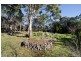 29 Blackstone Road, Blackstone Heights TAS 7250