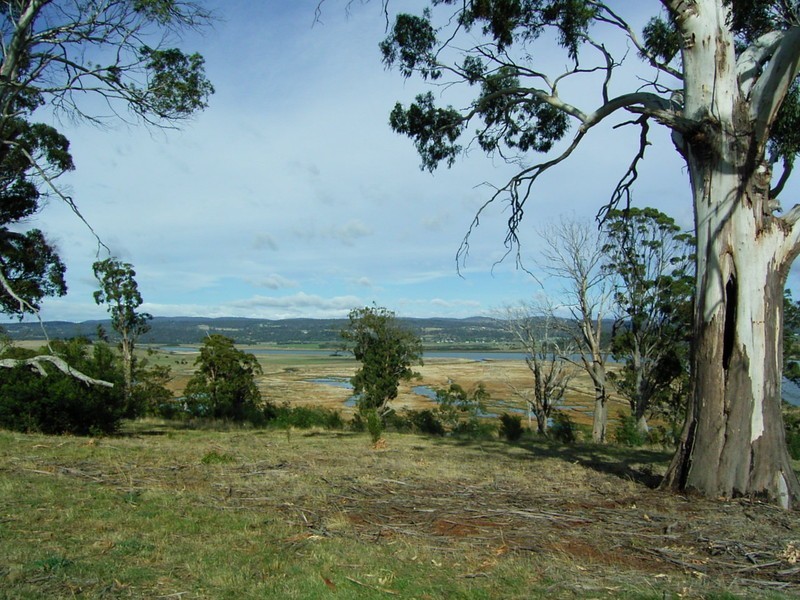 Lot 12, 54 Peddie Drive, Dilston TAS 7252
