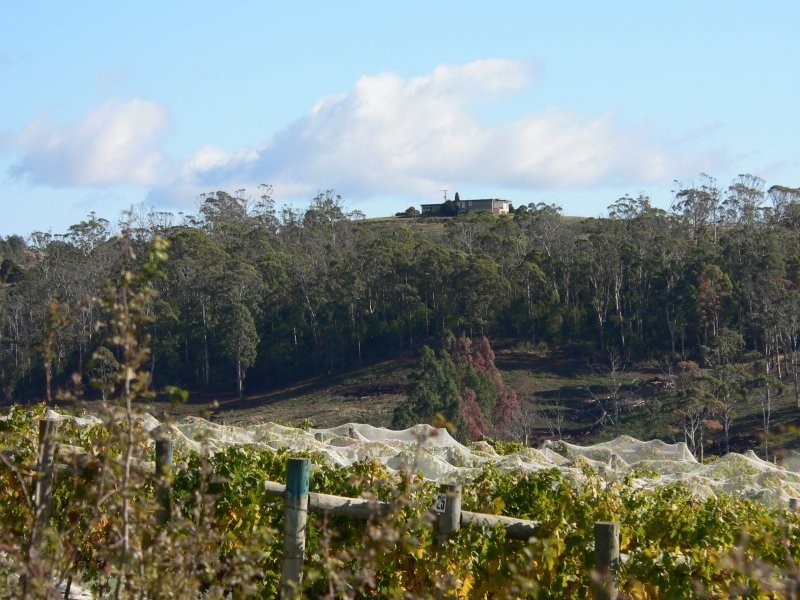 1824 West Tamar Highway, Rosevears TAS 7277