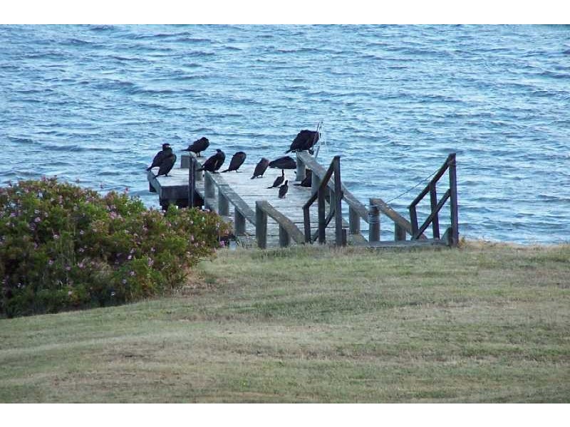 357 Windermere Road, Windermere TAS 7252