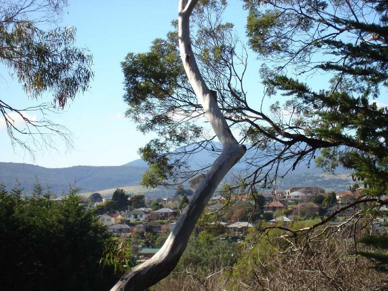 5/83 Peel Street West, West Launceston TAS 7250