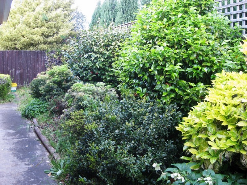 7a Barwing Crescent, Riverside TAS 7250