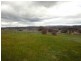 Lot 4 25 Binalong Avenue, St Leonards TAS 7250