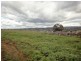 Lot 4 25 Binalong Avenue, St Leonards TAS 7250