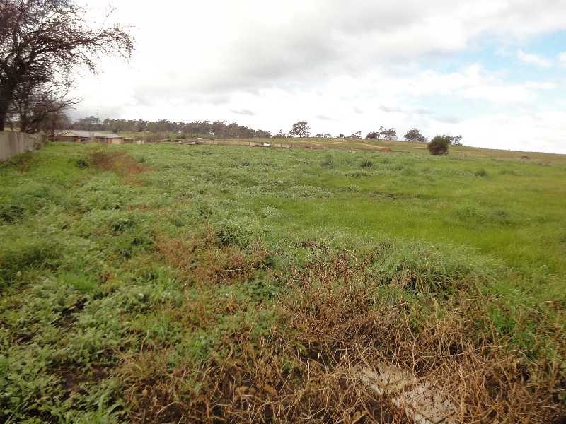 Lot 4 25 Binalong Avenue, St Leonards TAS 7250