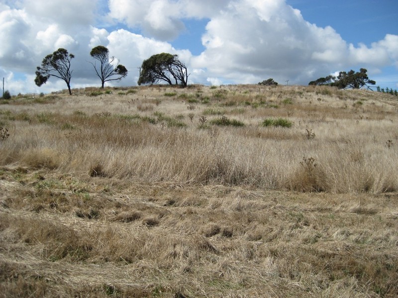 7 Seaview Road, Beechford TAS 7252