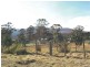1658 Upper Esk Road, Upper Esk TAS 7214