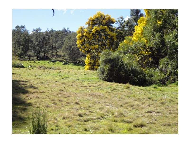 113A Ravenswood Road, Ravenswood TAS 7250
