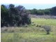 132 Bell Buoy Beach, Low Head TAS 7253