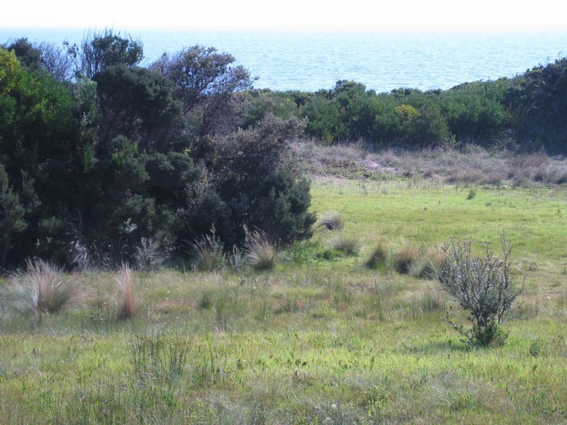 132 Bell Buoy Beach, Low Head TAS 7253