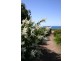 132 Bell Buoy Beach, Low Head TAS 7253