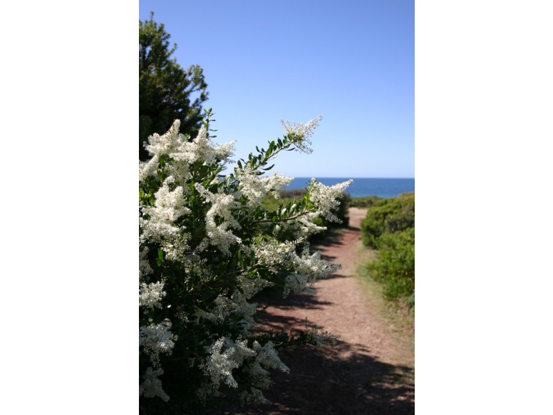 132 Bell Buoy Beach, Low Head TAS 7253