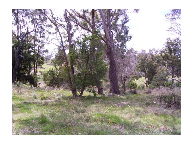 36 Sherborne Drive, Dilston TAS 7252