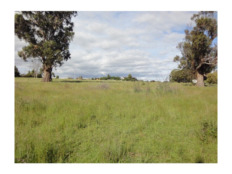 517 Hobart Road, Youngtown TAS 7249