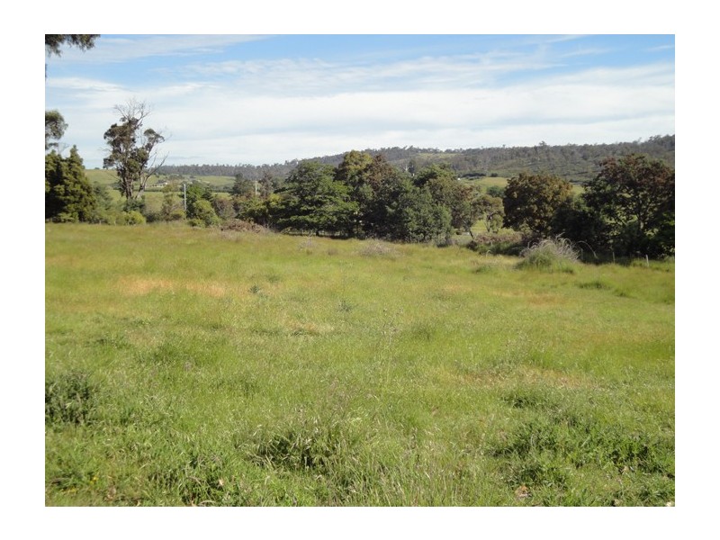 517 Hobart Road, Youngtown TAS 7249