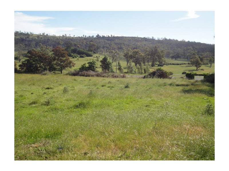 517 Hobart Road, Youngtown TAS 7249